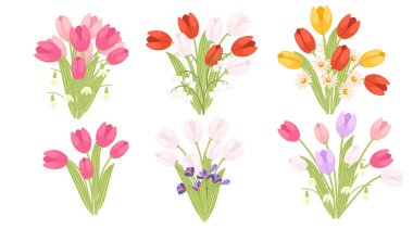 Lale koleksiyonu. Pembe, kırmızı, sarı çiçekli buketler. Çiçek demetleri farklı yerlerde. Çiçek kompozisyonları ve yeşil yapraklar. Vektör illüstrasyonu beyazda izole edildi.