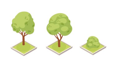 Isome ağaç seti. Farklı boyutlarda yeşil yaprak döken ağaçlar. Kahverengi gövdeli yuvarlak yapraklı ağaçlar. Yerleştirme için kare elementler. Vektör illüstrasyonu beyazda izole edildi.