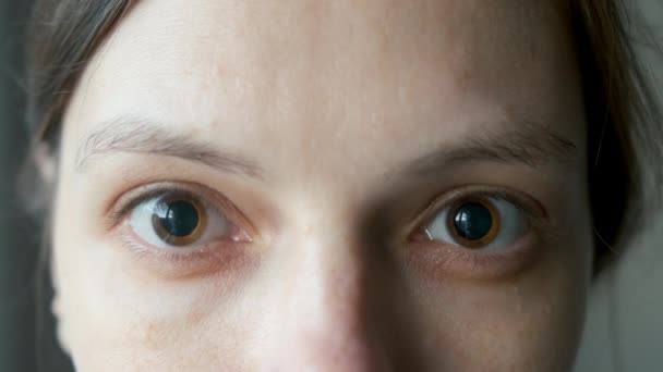 Großaufnahme Einer Frau Mit Braunen Augen Mit Erweiterten Großen Pupillen — Stockvideo