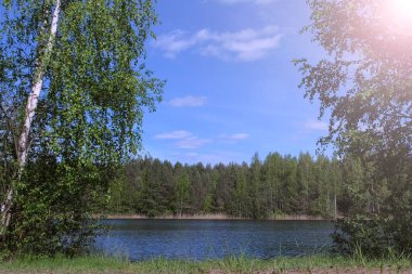 Yazın göl ve ormanla muhteşem bir doğa manzarası. Her iki boyutta da gölü çevreleyen yeşil orman ağaçları. Nehir kıyısındaki ağaçların arasından suyu izle.