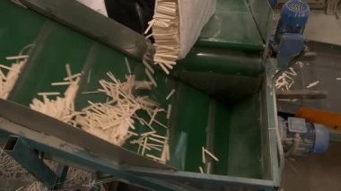 Fabrika işçisi marangozluk fabrikasındaki taşıma bandına tahta çubuklar döküyor. Tahta dondurma çubukları kereste fabrikasında üretiliyor. Endüstriyel atölye kereste üretim hattı makineleri otomatik işlem.