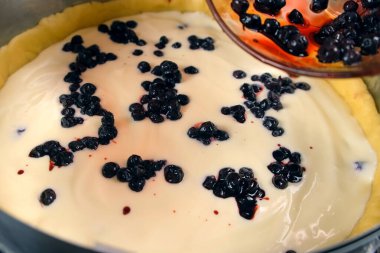 Evdeki mutfakta pasta pişirme çemberine kremalı kurabiye hamuruna böğürtlen ekliyorum. Malzeme tarifi aşçılığı. Ev yapımı yemek fırını. Tatlı hazırlıyorum..