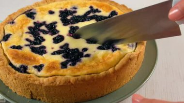 Az önce fırında kremalı turta kestim. Lezzetli taze kek ve yaban mersinli pasta. Bıçakla, yakın plan. Malzeme tarifi aşçılığı. Ev yapımı yemek fırını. Tatlı hazırlıyorum..