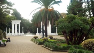 Landscaped tropical green park with bushes, palm trees and white colonnades, benches for rest, relax. Empty park in overcast day in Batumi Georgia. Popular touristic destination on vacations.