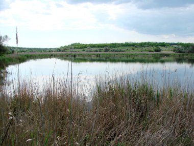 Bozkır göletinin aynalı su yüzeyi kıyı bitkisini ve bulutlu mavi gökyüzünü yansıtıyor..