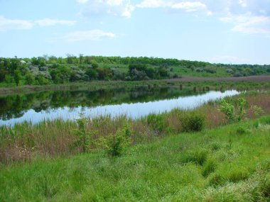 Mavi, bulutsuz bir gökyüzünün üzerinde çiçek açan bahar bitkileriyle çevrili bozkır gölünün inanılmaz doğal bir resmi..