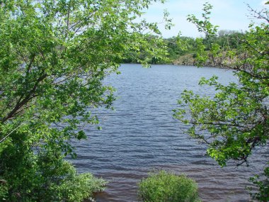 Dinyeper dalgalanmalarıyla kaplı su aynasına uzanan kıyı bitkilerinin arasından bir manzara..