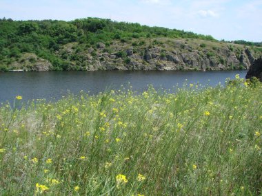 Dinyeper bozkırlarının çiçek açan yaz doğası, çeşitliliğiyle her türlü doğa uzmanının bakışını barındıran sürprizlerle doludur..