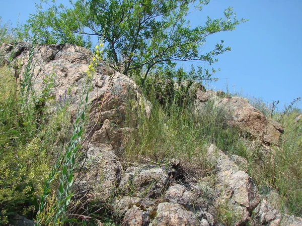 Widok Dołu Skaliste Brzegi Starego Dniepru Pokryte Miękkim Zielonym Kocem — Zdjęcie stockowe