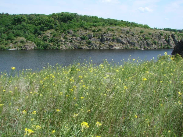 Die Blühende Sommerliche Natur Der Dnjepr Steppe Überrascht Mit Ihrer — Stockfoto