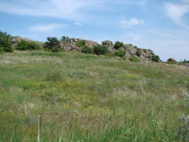 Mavi gökyüzü Dinyeper 'in yüksek yeşil kıyısında küçük kar beyazı bulutlarla süslenmiştir..