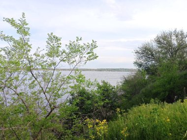 Samara Nehri 'nin su aynasının doğal bir görüntüsü yoğun kıyı bitki örtüsü prizmasından geçen bulutlu, güneşli bir gökyüzünün arka planına karşı..