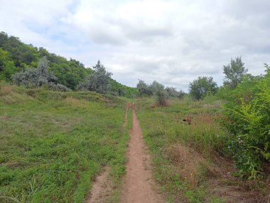 Bulutlu bir yaz gökyüzünün altında, dar bir patika boyunca bir akşam yürüyüşü..