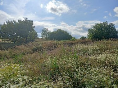 Güneş ışınlarının prizmasından geçerek Dnipro Tepesi 'nde çiçek açan bir bozkır manzarası. Mavi, bulutlu bir gökyüzünün arka planına karşı..