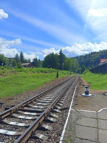 Una Vista Del Ferrocarril Que Entra Los Matorrales Montaña Sobre — Foto de Stock