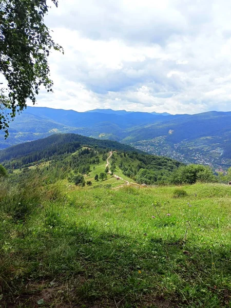 Una Vista Ladera Montaña Makovytsa Cubierta Vegetación Del Prado Sobre —  Fotos de Stock