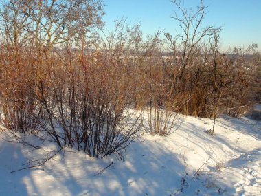 Beyaz kar halısında ışıldayan buz gibi güneşin altında kış ormanının doğal güzelliğini kelimelerle tarif etmek imkansızdır..