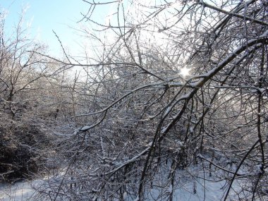 Yoğun karla kaplı ormandan ağaçların tepesine kadar uzanan ve batan güneşin ışınlarıyla aydınlatılan bir manzara..