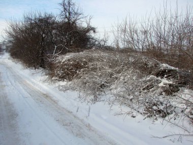 # Yol kenarındaki çalıların manzarası # # Yumuşak yumuşak karla kaplı # # dondurucu güneşin ışınlarıyla #.