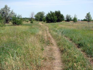 Ufka kadar uzanan bozkır yolu manzarası ve yeşil bozkır halısını iki parçaya böler..