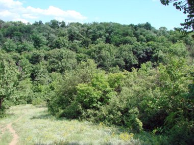 Güneşli tepelerin yamaçlarında uzanan Dinyeper ormanının yaz manzarası ufuktaki mavi bulutlu gökyüzünün arka planına karşı..