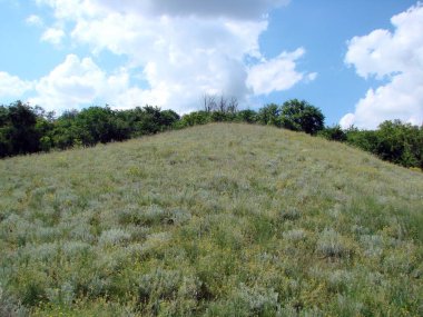 Yamacın yamaçlarına tırmanmak, yabani bitki örtüsünün içinden geçmek bulutlu bir gökyüzüne doğru bir yürüyüş gibidir..