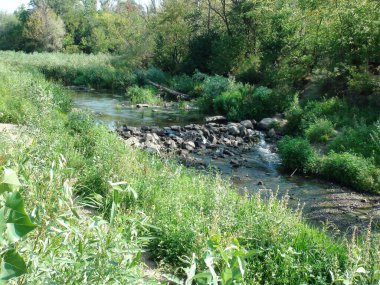 Nizhnya Khorytsia nehrinin üzerinden geçen beton taşın görüntüsü, göze hoş gelen bir şelale oluşturuyor..