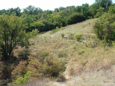 Kayalık bir Dinyeper Tepesi 'nin panorama' sı. İçinden dağlık dar bir patika şeridinin geçtiği bozkır bitki örtüsüyle kaplı..