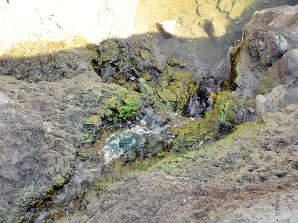 Kıyıdaki kayaların güçlü taşları arasından yüzeye, Dnipro 'ya giden küçük bir yeraltı nehri..