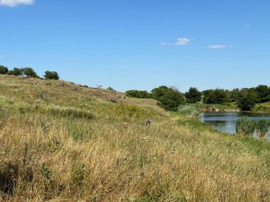 Ufuktaki açık mavi, güneşli gökyüzünün arka planına karşı kurak ve yağmursuz bir yaz nedeniyle kuruyan yemyeşil bitki örtüsüyle kaplı bozkır nehrinin yüksek kıyısının manzarası..