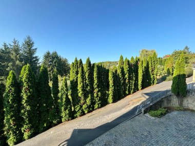 Macaristan 'ın Lenti kasabasının kenar mahallelerinde sabah güneşinin altında yapay olarak yaratılmış doğal parkın etkileyici güzelliği.