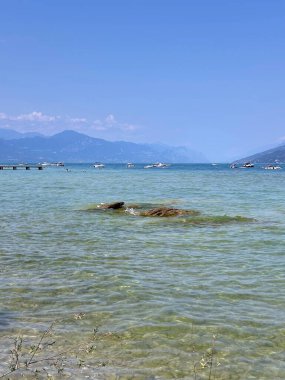 A panorama of crystal clear lake water through which you can see a sandy shore and stones covered with green aquatic vegetation. clipart