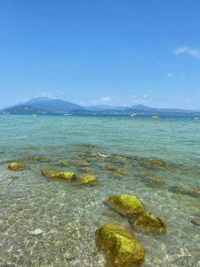 A panorama of crystal clear lake water through which you can see a sandy shore and stones covered with green aquatic vegetation. clipart