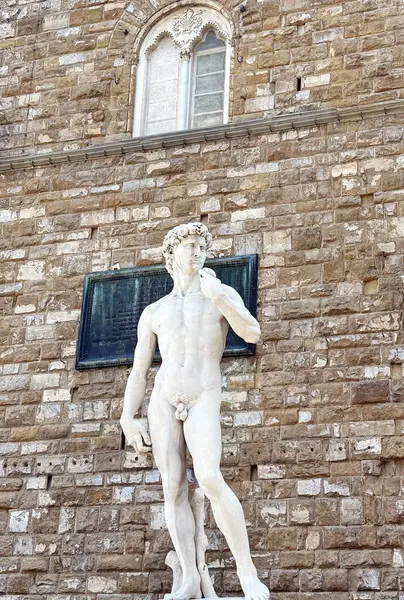Michelangelo 'nun Signoria Meydanı' ndaki Davut heykeli Floransa 'ya gelen her ziyaretçiyi büyüleyebilir..