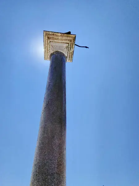 Aziz Todaro sütununun tepesinde dinlenen bir aslan. Valinin sarayının yakınındaki parlak yaz güneşinin ışınlarında..