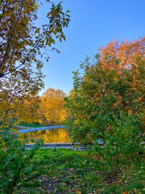 Açık mavi gökyüzüne karşı renkli sonbahar kıyafetleri giymiş ağaçlarla çevrili bir rezervuar manzarası..