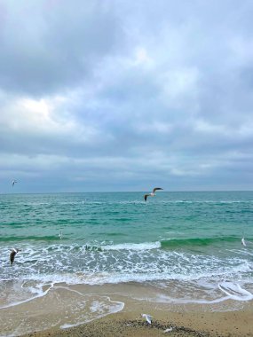 Karadeniz 'in uçsuz bucaksız masmavi yüzeyinin sonbahar manzarası ufku kaplayan ağır gri bulutların altında.