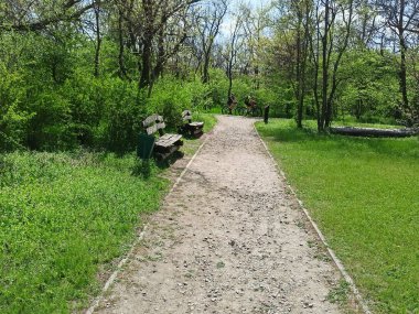 Kazak adasında zorlu bir yürüyüşten sonra Khorytsia adasında olağandışı ahşap banklarda dinlenebilirsiniz..