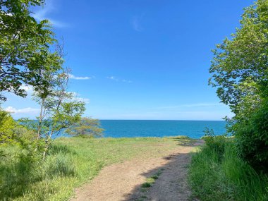 Bulutsuz bir gökyüzünün altında orman şeridini kıran güzel bir patikanın manzarası..