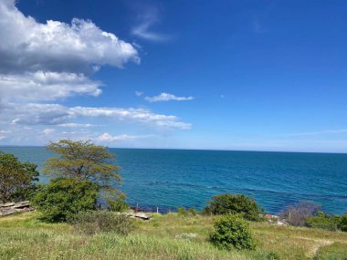 Sarkmış bir bulutun gölgesinde taze bahar çimlerinde keyifli bir yürüyüş. Uçsuz bucaksız deniz ufkunun tefekkürünün tadını çıkarıyorlar..
