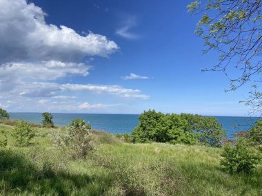 Sarkmış bir bulutun gölgesinde taze bahar çimlerinde keyifli bir yürüyüş. Uçsuz bucaksız deniz ufkunun tefekkürünün tadını çıkarıyorlar..