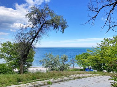 Kıyı ağaçlarının manzarası güneşli bir günde bahar rüzgârına nazikçe boyun eğiyor..
