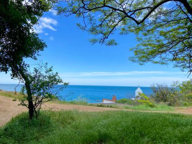 Ufuktaki mavi deniz yüzeyinin arka planında ağaçların dibinde genç sulu otlarla kaplı güneşli bir çayırın manzarası..