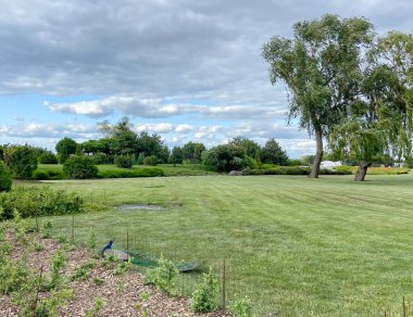 İnsanların dinlenmesinden korkmayan gururlu ve yakışıklı tavus kuşuna hayran olmak çok hoş..