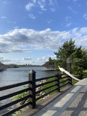 İnsanların dinlenmesinden korkmayan gururlu ve yakışıklı tavus kuşuna hayran olmak çok hoş..