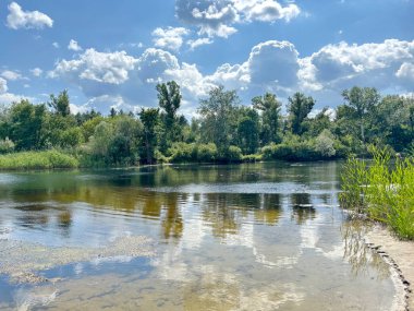 Dinyeper taşkınlarının sakin su yüzeyinin manzarası yemyeşil bitki örtüsüyle çevrili, mavi gökyüzündeki güneşli bulutları yansıtıyor..