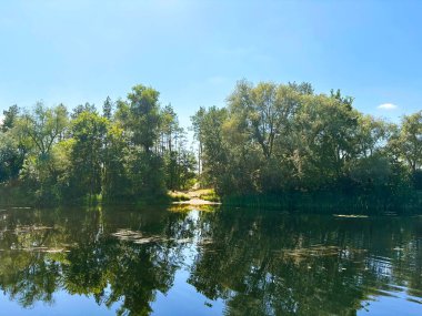 Dinyeper taşkın ovalarının saydam su yüzeyinin manzarası yemyeşil kıyı orman bitki örtüsüyle çevrili zambak yapraklarından oluşan adalarla kaplıdır..
