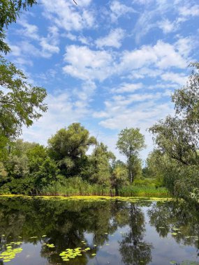 Dinyeper 'ın el değmemiş vahşi doğasının eşsiz güzelliği yazın ortasında güneşli, yarı bulutlu bir gökyüzünün altında sel baskınları..