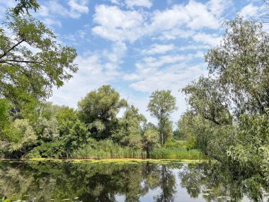 Dinyeper sel yatağının su aynasının inanılmaz parlaklığı çevresindeki manzarayı orjinalinden daha iyi ve daha temiz yansıtıyor..