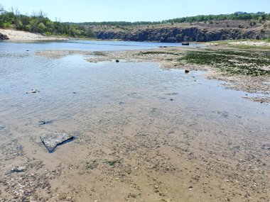 Sağlıklı bir yalınayak, yakınlardaki adalara geçmenin kolay olduğu sığ Dinyeper boyunca yürür..